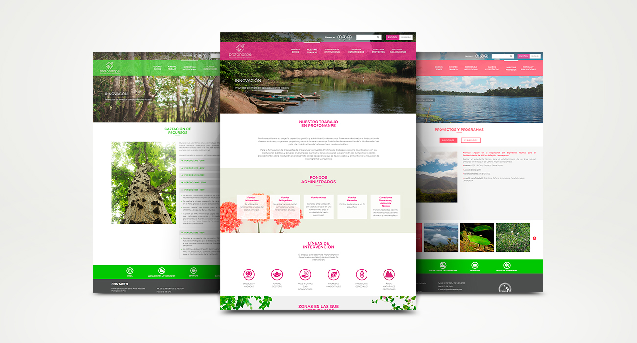 Sitio web Profonanpe