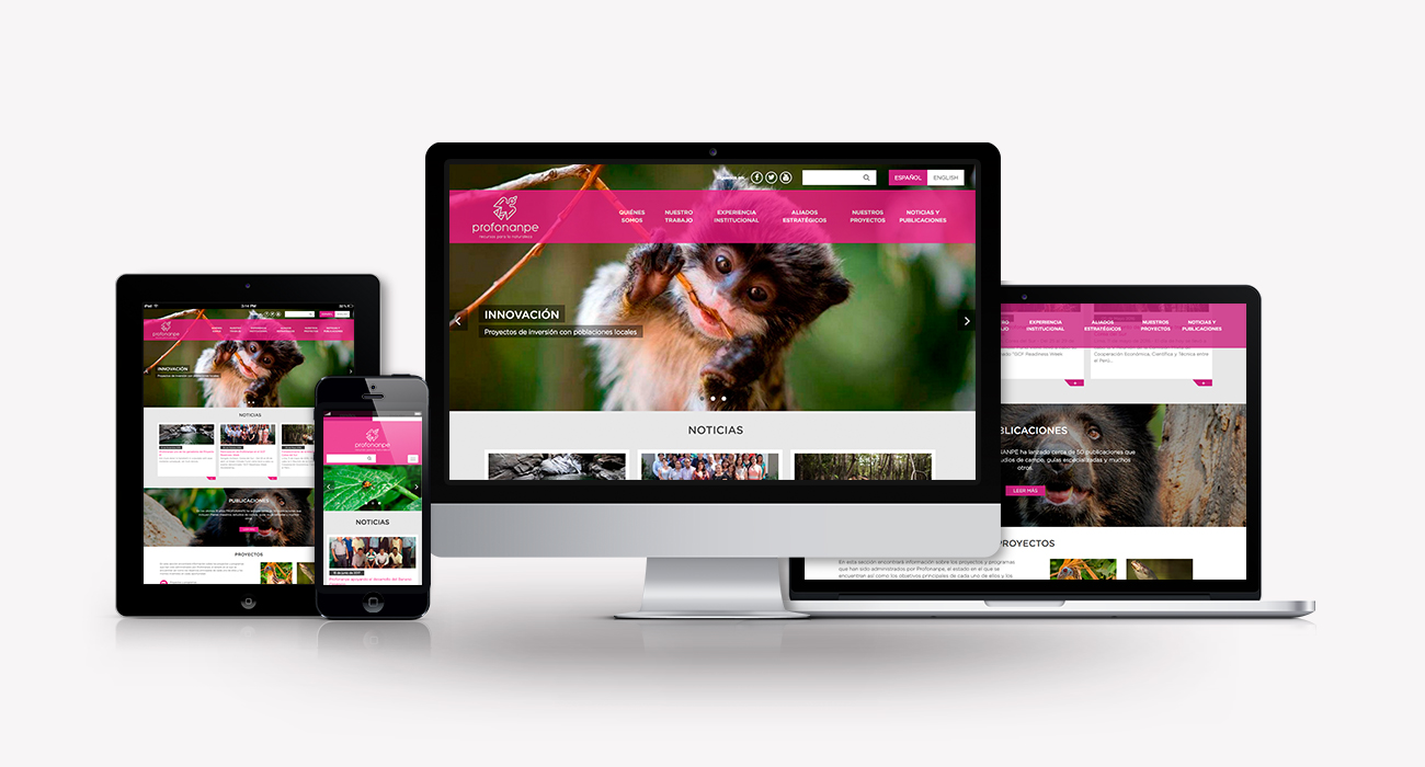 Sitio web Profonanpe