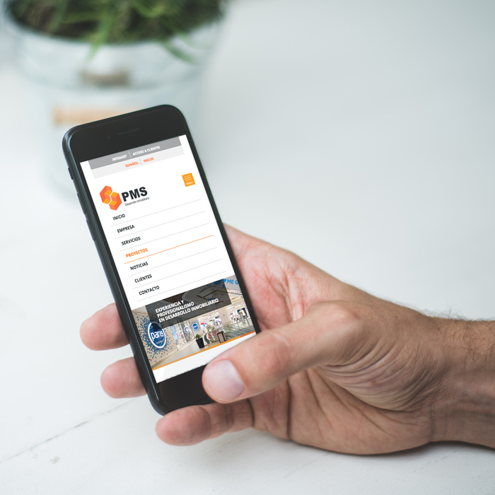 PMS Desarrollo Inmobiliario
