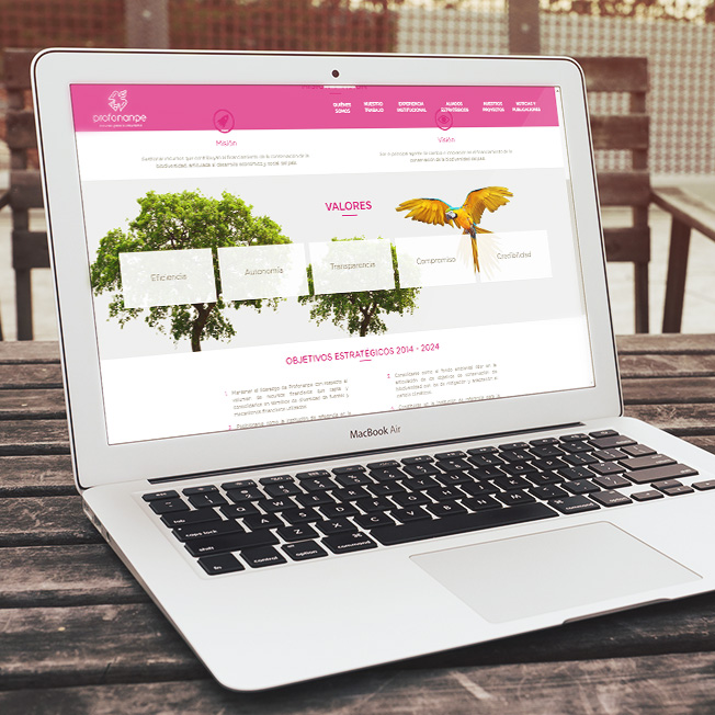 Sitio web Profonanpe