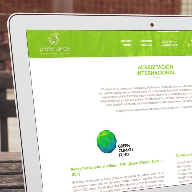Sitio web Profonanpe