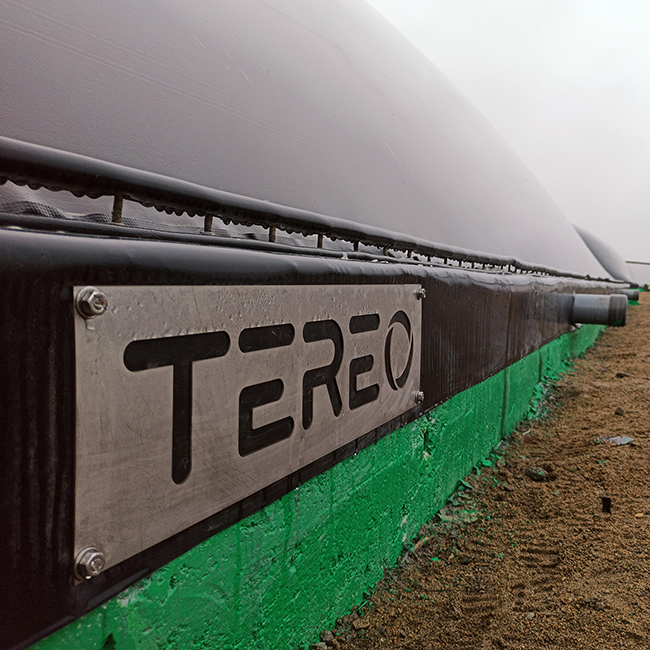 TEREO Logotipo