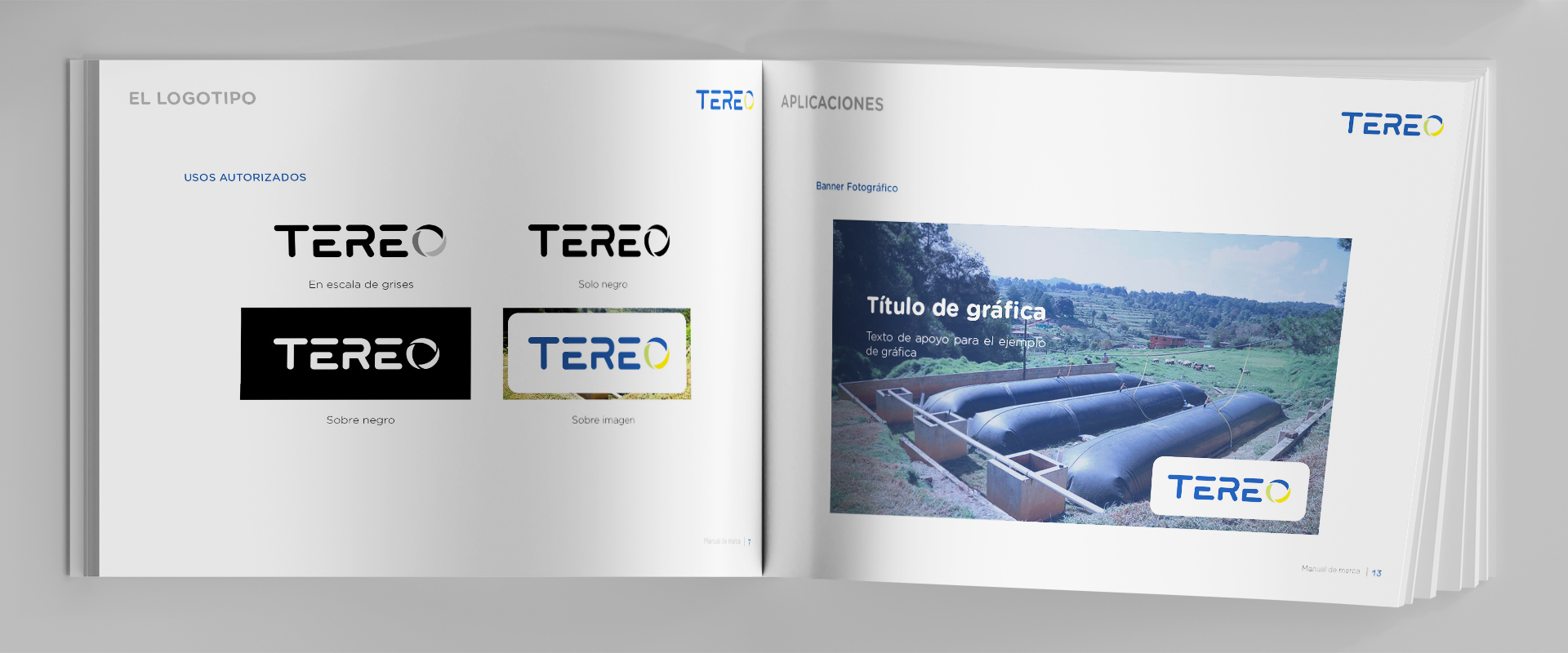 TEREO Manual de marca