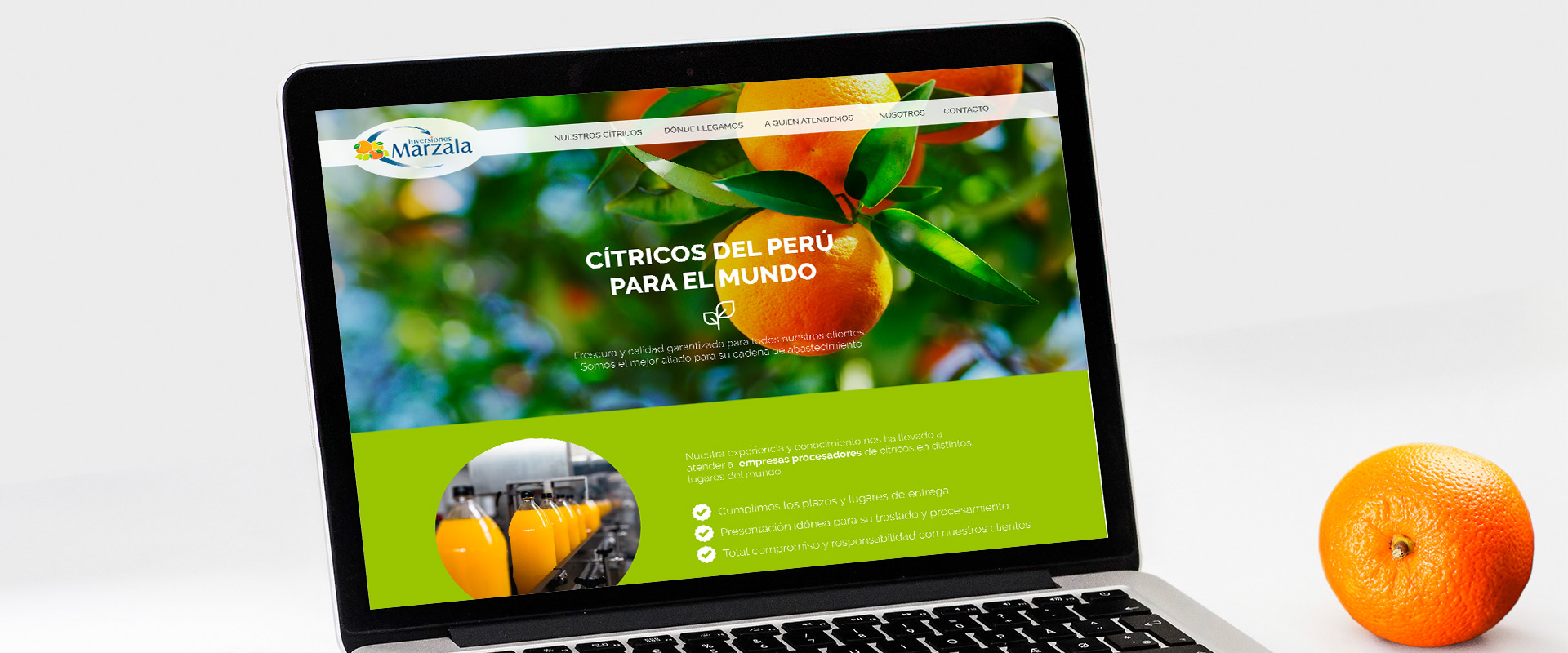 Marzala sitio web