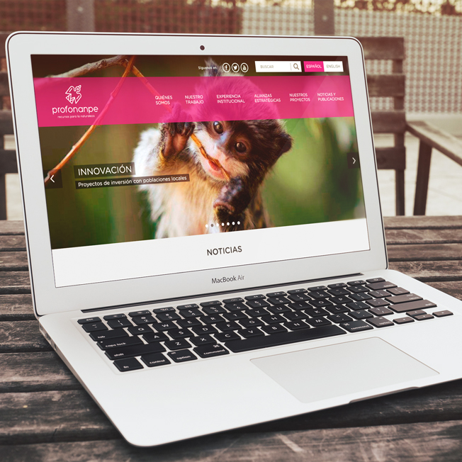 Sitio web Profonanpe